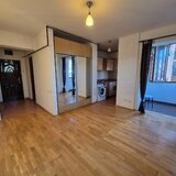 Drumul Taberei, Brancusi